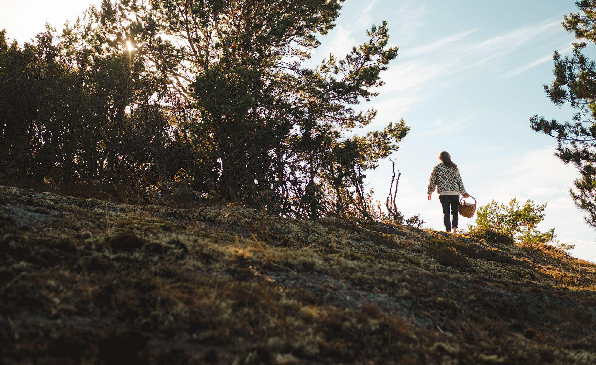 En person som går i naturen i närheten av Lunsängen Hybridpark